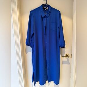 Guillaume Button Down Dress